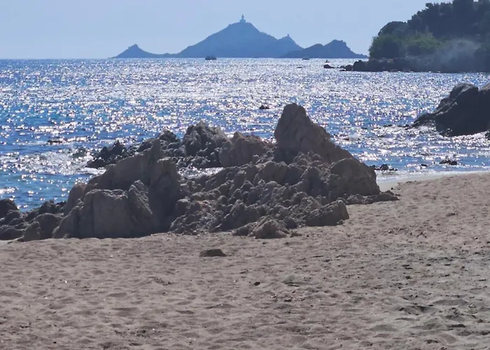 公寓 Chez Vicky, Superbe Avec Parking Prive Piscine Et Vue Exceptionnelle 阿雅克肖