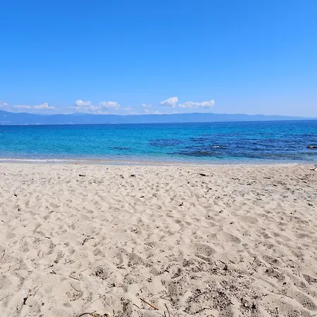 Chez Vicky, Superbe Avec Parking Prive Piscine Et Vue Exceptionnelle Ajaccio (Corsica)